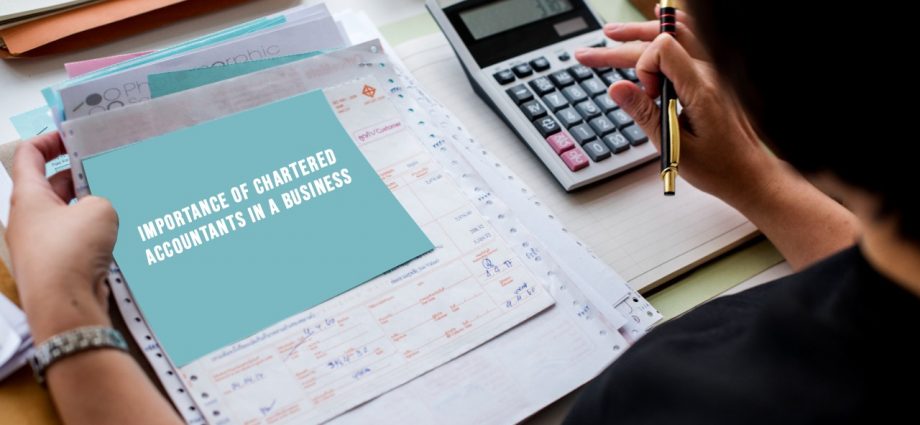 Importance of Chartered Accountants